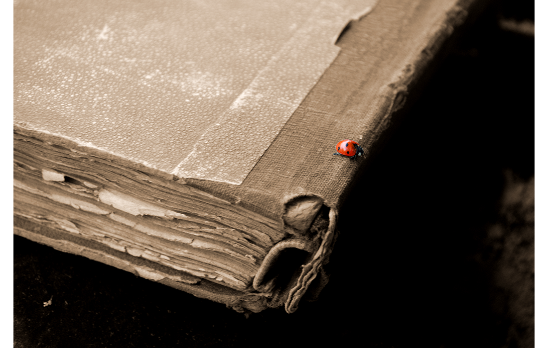 Scripta Manent . 2010