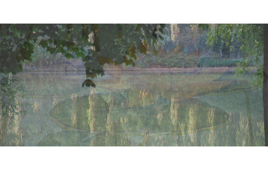 Seguendo le Naiadi . 2015